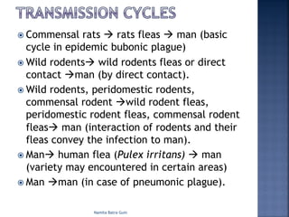 ž Commensal rats à rats fleas à man (basic
cycle in epidemic bubonic plague)
ž Wild rodentsà wild rodents fleas or direct
contact àman (by direct contact).
ž Wild rodents, peridomestic rodents,
commensal rodent àwild rodent fleas,
peridomestic rodent fleas, commensal rodent
fleasà man (interaction of rodents and their
fleas convey the infection to man).
ž Manà human flea (Pulex irritans) à man
(variety may encountered in certain areas)
ž Man àman (in case of pneumonic plague).
Namita Batra Guin
 