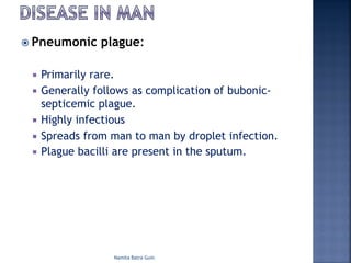 ž Pneumonic plague:
¡ Primarily rare.
¡ Generally follows as complication of bubonic-
septicemic plague.
¡ Highly infectious
¡ Spreads from man to man by droplet infection.
¡ Plague bacilli are present in the sputum.
Namita Batra Guin
 