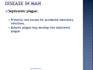 ž Septicemic plague:
¡ Primarily rare except for accidental laboratory
infections.
¡ Bubonic plague may develop into septicemic
plague.
Namita Batra Guin
 