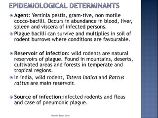 ž Agent: Yersinia pestis, gram-tive, non motile
cocco-bacilli. Occurs in abundance in blood, liver,
spleen and viscera of infected persons.
ž Plague bacilli can survive and multiplies in soil of
rodent burrows where conditions are favourable.
ž Reservoir of infection: wild rodents are natural
reservoirs of plague. Found in mountains, deserts,
cultivated areas and forests in temperate and
tropical regions.
ž In india, wild rodent, Tatera indica and Rattus
rattus are main reservoir.
ž Source of infection:infected rodents and fleas
and case of pneumonic plague.
Namita Batra Guin
 