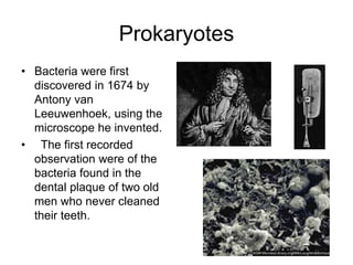 Prokaryotes
• Bacteria were first
discovered in 1674 by
Antony van
Leeuwenhoek, using the
microscope he invented.
• The first recorded
observation were of the
bacteria found in the
dental plaque of two old
men who never cleaned
their teeth.
 