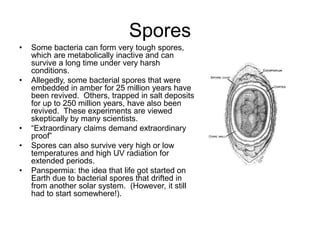 Spores
• Some bacteria can form very tough spores,
which are metabolically inactive and can
survive a long time under very harsh
conditions.
• Allegedly, some bacterial spores that were
embedded in amber for 25 million years have
been revived. Others, trapped in salt deposits
for up to 250 million years, have also been
revived. These experiments are viewed
skeptically by many scientists.
• “Extraordinary claims demand extraordinary
proof”
• Spores can also survive very high or low
temperatures and high UV radiation for
extended periods.
• Panspermia: the idea that life got started on
Earth due to bacterial spores that drifted in
from another solar system. (However, it still
had to start somewhere!).
 