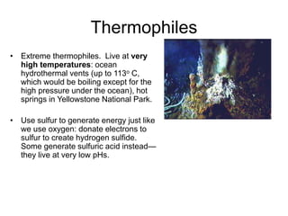 Thermophiles
• Extreme thermophiles. Live at very
high temperatures: ocean
hydrothermal vents (up to 113o C,
which would be boiling except for the
high pressure under the ocean), hot
springs in Yellowstone National Park.
• Use sulfur to generate energy just like
we use oxygen: donate electrons to
sulfur to create hydrogen sulfide.
Some generate sulfuric acid instead—
they live at very low pHs.
 