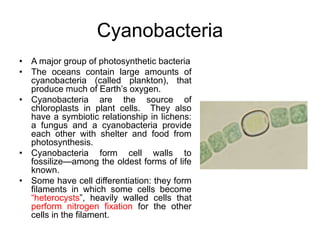 Cyanobacteria
• A major group of photosynthetic bacteria
• The oceans contain large amounts of
cyanobacteria (called plankton), that
produce much of Earth’s oxygen.
• Cyanobacteria are the source of
chloroplasts in plant cells. They also
have a symbiotic relationship in lichens:
a fungus and a cyanobacteria provide
each other with shelter and food from
photosynthesis.
• Cyanobacteria form cell walls to
fossilize—among the oldest forms of life
known.
• Some have cell differentiation: they form
filaments in which some cells become
“heterocysts”, heavily walled cells that
perform nitrogen fixation for the other
cells in the filament.
 