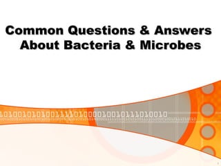 1
Common Questions & AnswersCommon Questions & Answers
About Bacteria & MicrobesAbout Bacteria & Microbes
 