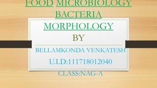 FOOD MICROBIOLOGY
BACTERIA
MORPHOLOGY
BY
BELLAMKONDA VENKATESH
U.I.D:111718012040
CLASS:NAG-A
 