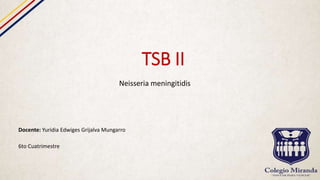 TSB II
Neisseria meningitidis
Docente: Yuridia Edwiges Grijalva Mungarro
6to Cuatrimestre
 
