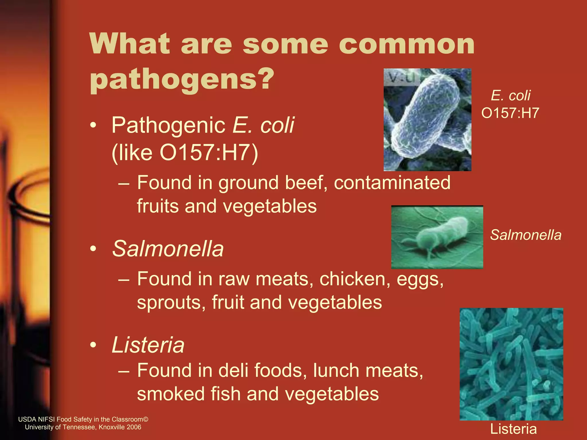 What are some common
pathogens?
• Pathogenic E. coli
(like O157:H7)
– Found in ground beef, contaminated
fruits and vegetables
• Salmonella
– Found in raw meats, chicken, eggs,
sprouts, fruit and vegetables
• Listeria
– Found in deli foods, lunch meats,
smoked fish and vegetables
E. coli
O157:H7
Salmonella
Listeria
USDA NIFSI Food Safety in the Classroom©
University of Tennessee, Knoxville 2006
 