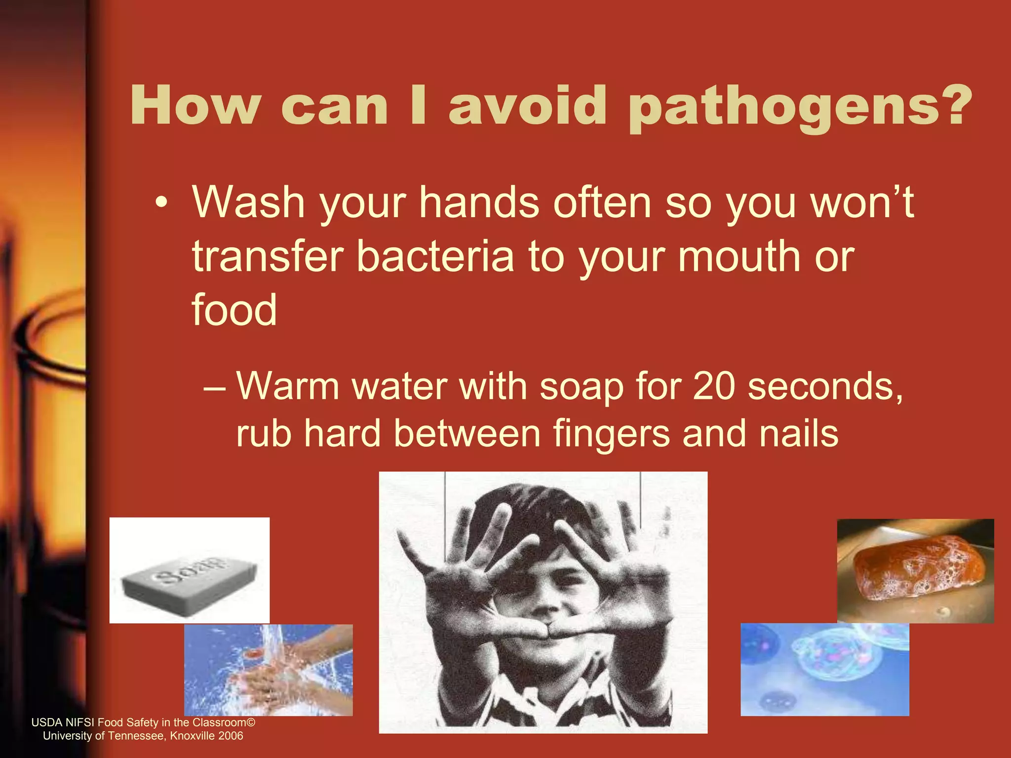 How can I avoid pathogens?
• Wash your hands often so you won’t
transfer bacteria to your mouth or
food
– Warm water with soap for 20 seconds,
rub hard between fingers and nails
USDA NIFSI Food Safety in the Classroom©
University of Tennessee, Knoxville 2006
 