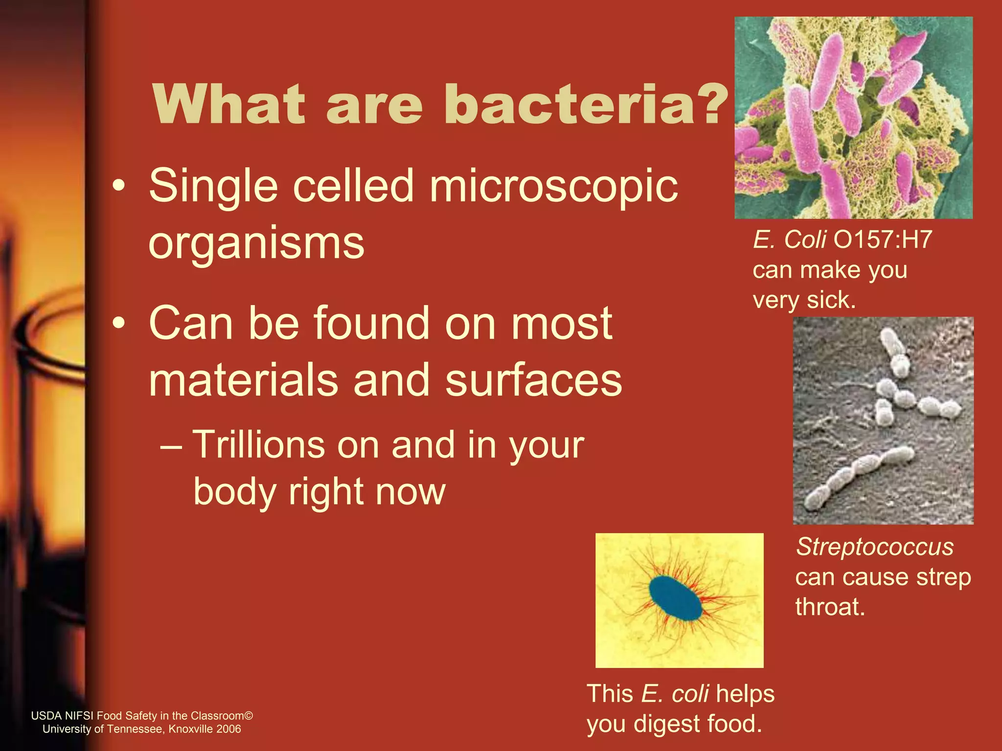 What are bacteria?
• Single celled microscopic
organisms
• Can be found on most
materials and surfaces
– Trillions on and in your
body right now
E. Coli O157:H7
can make you
very sick.
Streptococcus
can cause strep
throat.
This E. coli helps
you digest food.
USDA NIFSI Food Safety in the Classroom©
University of Tennessee, Knoxville 2006
 