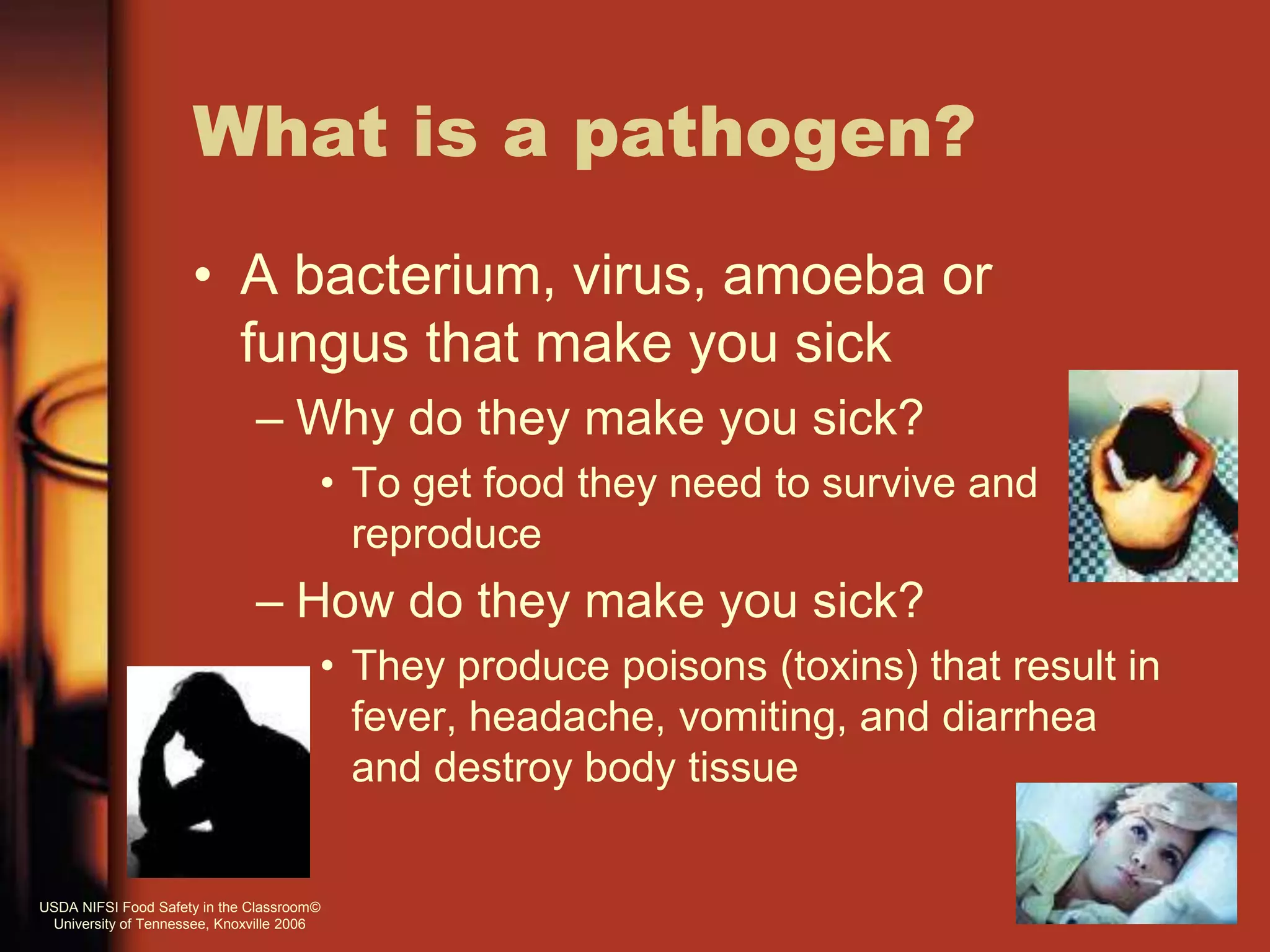 What is a pathogen?
• A bacterium, virus, amoeba or
fungus that make you sick
– Why do they make you sick?
• To get food they need to survive and
reproduce
– How do they make you sick?
• They produce poisons (toxins) that result in
fever, headache, vomiting, and diarrhea
and destroy body tissue
USDA NIFSI Food Safety in the Classroom©
University of Tennessee, Knoxville 2006
 