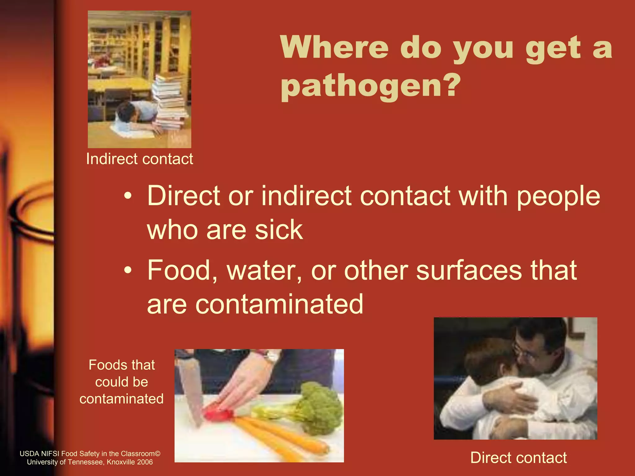 Where do you get a
pathogen?
• Direct or indirect contact with people
who are sick
• Food, water, or other surfaces that
are contaminated
Indirect contact
Direct contact
Foods that
could be
contaminated
USDA NIFSI Food Safety in the Classroom©
University of Tennessee, Knoxville 2006
 