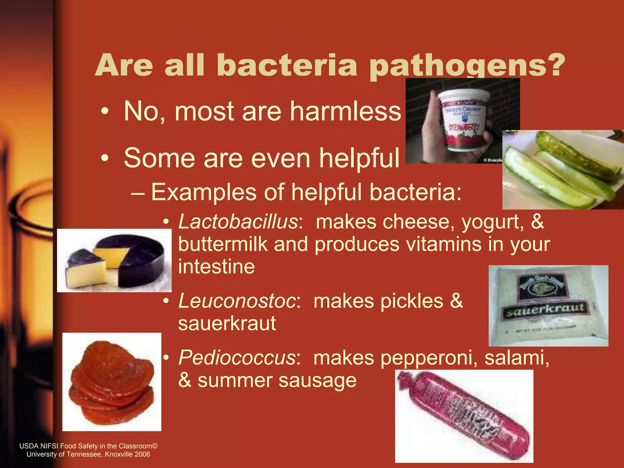 Are all bacteria pathogens?
• No, most are harmless
• Some are even helpful
– Examples of helpful bacteria:
• Lactobacillus: makes cheese, yogurt, &
buttermilk and produces vitamins in your
intestine
• Leuconostoc: makes pickles &
sauerkraut
• Pediococcus: makes pepperoni, salami,
& summer sausage
USDA NIFSI Food Safety in the Classroom©
University of Tennessee, Knoxville 2006
 
