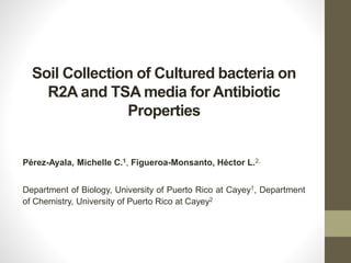 Soil Collection of Cultured bacteria on
R2A and TSA media for Antibiotic
Properties
Pérez-Ayala, Michelle C.1, Figueroa-Monsanto, Héctor L.2,
Department of Biology, University of Puerto Rico at Cayey1, Department
of Chemistry, University of Puerto Rico at Cayey2
 