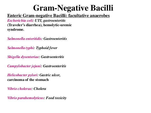 antibiotics to treat gram negative rods antibiotics to treat gram negative rods