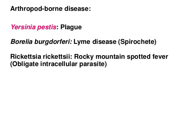 Need help writing my paper yersinia pestis ? infection, symptoms, diagnosis, and treatment