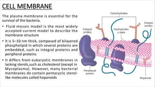 CELL MEMBRANE
The plasma membrane is essential for the
survival of the bacteria.
• Fluid mosaic model is the most widely
accepted current model to describe the
membrane structure
• It is 5–10 nm thick, composed of bilayered
phospholipid in which several proteins are
embedded, such as integral proteins and
peripheral proteins
• It differs from eukaryotic membranes in
lacking sterols,such as cholesterol (except in
Mycoplasma). However, many bacterial
membranes do contain pentacyclic sterol-
like molecules called hopanoids
 