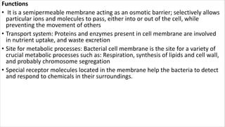Functions
• It is a semipermeable membrane acting as an osmotic barrier; selectively allows
particular ions and molecules to pass, either into or out of the cell, while
preventing the movement of others
• Transport system: Proteins and enzymes present in cell membrane are involved
in nutrient uptake, and waste excretion
• Site for metabolic processes: Bacterial cell membrane is the site for a variety of
crucial metabolic processes such as: Respiration, synthesis of lipids and cell wall,
and probably chromosome segregation
• Special receptor molecules located in the membrane help the bacteria to detect
and respond to chemicals in their surroundings.
 