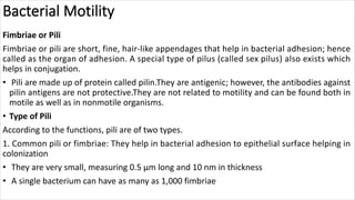 Bacterial Motility
Fimbriae or Pili
Fimbriae or pili are short, fine, hair-like appendages that help in bacterial adhesion; hence
called as the organ of adhesion. A special type of pilus (called sex pilus) also exists which
helps in conjugation.
• Pili are made up of protein called pilin.They are antigenic; however, the antibodies against
pilin antigens are not protective.They are not related to motility and can be found both in
motile as well as in nonmotile organisms.
• Type of Pili
According to the functions, pili are of two types.
1. Common pili or fimbriae: They help in bacterial adhesion to epithelial surface helping in
colonization
• They are very small, measuring 0.5 µm long and 10 nm in thickness
• A single bacterium can have as many as 1,000 fimbriae
 