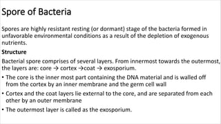 Spore of Bacteria
Spores are highly resistant resting (or dormant) stage of the bacteria formed in
unfavorable environmental conditions as a result of the depletion of exogenous
nutrients.
Structure
Bacterial spore comprises of several layers. From innermost towards the outermost,
the layers are: core → cortex →coat → exosporium.
• The core is the inner most part containing the DNA material and is walled off
from the cortex by an inner membrane and the germ cell wall
• Cortex and the coat layers lie external to the core, and are separated from each
other by an outer membrane
• The outermost layer is called as the exosporium.
 