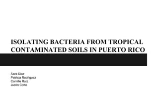 ISOLATING BACTERIA FROM TROPICAL
CONTAMINATED SOILS IN PUERTO RICO
Sara Diaz
Patricia Rodriguez
Camille Ruiz
Justin Cotto
 