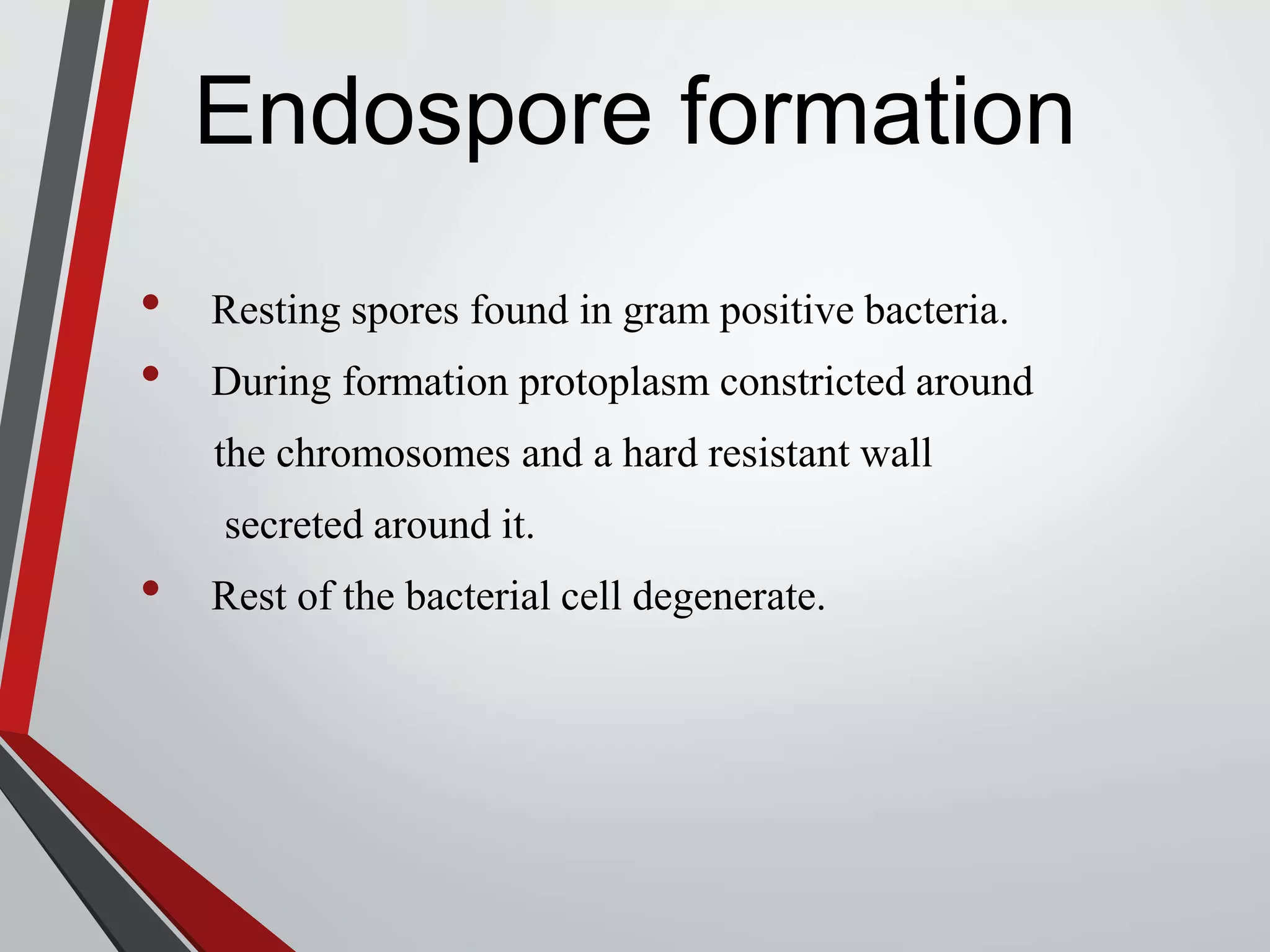 Rest Bacteria Introduction to Bacteria .. | PPTX