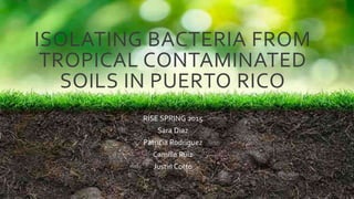 ISOLATING BACTERIA FROM
TROPICAL CONTAMINATED
SOILS IN PUERTO RICO
RISE SPRING 2015
Sara Diaz
Patricia Rodriguez
Camille Ruiz
Justin Cotto
 