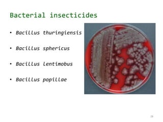 Bacterial insecticides
• Bacillus thuringiensis
• Bacillus sphericus
• Bacillus lentimobus
• Bacillus popillae
28
 