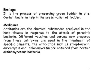 Ensilage
It is the process of preserving green fodder in pits.
Certain bacteria help in the preservation of fodder.
Medicines
Antitoxins are the chemical substances produced in the
host tissues in response to the attack of parasitic
bacteria. Different vaccines and serums now prepared
from these antitoxins are used in the treatment of
specific ailments. The antibiotics such as streptomycin,
aureomycin and chloromycetin are obtained from certain
actinomycetous bacteria.
37
 