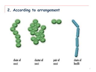 2. According to arrangement
7
 