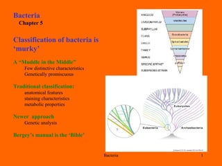 Bacteria 1
Bacteria
Chapter 5
Classification of bacteria is
‘murky’
A “Muddle in the Middle”
Few distinctive characteristics
Genetically promiscuous
Traditional classification:
anatomical features
staining characteristics
metabolic properties
Newer approach
Genetic analysis
Bergey’s manual is the ‘Bible’
 