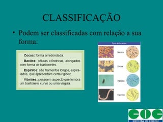 Bacterias | PPT