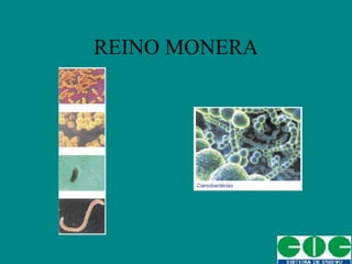 REINO MONERA 