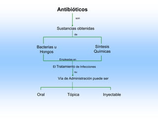 Bacterias