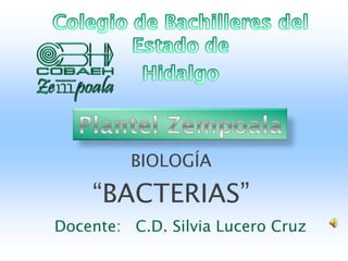 BIOLOGÍA

    “BACTERIAS”
Docente: C.D. Silvia Lucero Cruz
 