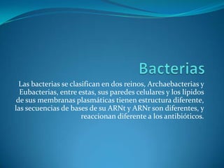 Bacterias Las bacterias se clasifican en dos reinos, Archaebacterias y Eubacterias, entre estas, sus paredes celulares y los lípidos de sus membranas plasmáticas tienen estructura diferente, las secuencias de bases de su ARNt y ARNr son diferentes, y reaccionan diferente a los antibióticos.  