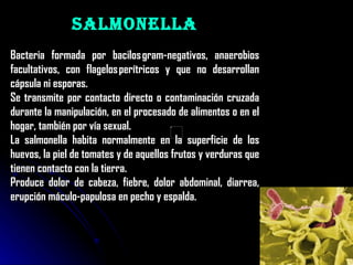 Salmonella Bacteria formada por bacilos gram-negativos, anaerobios facultativos, con flagelos perítricos y que no desarrollan cápsula ni esporas.  Se transmite por contacto directo o contaminación cruzada durante la manipulación, en el procesado de alimentos o en el hogar, también por vía sexual. La salmonella habita normalmente en la superficie de los huevos, la piel de tomates y de aquellos frutos y verduras que tienen contacto con la tierra. Produce dolor de cabeza, fiebre, dolor abdominal, diarrea, erupción máculo-papulosa en pecho y espalda. 