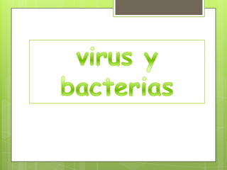 virus y bacterias  