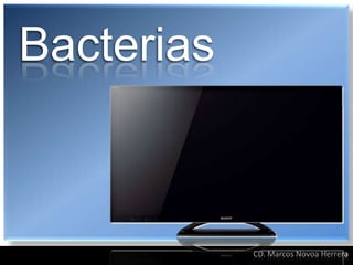 Bacterias



            CD. Marcos Novoa Herrera
 