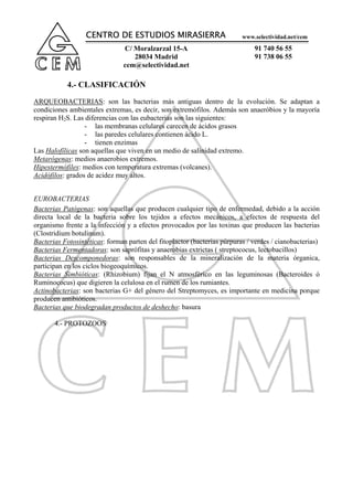 CENTRO DE ESTUDIOS MIRASIERRA                           www.selectividad.net/cem

                                C/ Moralzarzal 15-A                           91 740 56 55
                                   28034 Madrid                               91 738 06 55
                                cem@selectividad.net

           4.- CLASIFICACIÓN
ARQUEOBACTERIAS: son las bacterias más antiguas dentro de la evolución. Se adaptan a
condiciones ambientales extremas, es decir, son extremófilos. Además son anaeróbios y la mayoría
respiran H2S. Las diferencias con las eubacterias son las siguientes:
                  - las membranas celulares carecen de ácidos grasos
                  - las paredes celulares contienen ácido L.
                  - tienen enzimas
Las Halofílicas son aquellas que viven en un medio de salinidad extremo.
Metarógenas: medios anaerobios extremos.
Hipestermófiles: medios con temperatura extremas (volcanes).
Acidófilos: grados de acidez muy altos.


EUROBACTERIAS
Bacterias Patógenas: son aquellas que producen cualquier tipo de enfermedad, debido a la acción
directa local de la bacteria sobre los tejidos a efectos mecánicos, a efectos de respuesta del
organismo frente a la infección y a efectos provocados por las toxinas que producen las bacterias
(Clostridium botulinum).
Bacterias Fotosintéticas: forman parten del fitoplactor (bacterias púrpuras / verdes / cianobacterias)
Bacterias Fermentadoras: son saprófitas y anaerobias extrictas ( streptococus, lectobacillos)
Bacterias Descomponedoras: son responsables de la mineralización de la materia órganica,
participan en los ciclos biogeoquímicos.
Bacterias Simbióticas: (Rhizobium) fijan el N atmosférico en las leguminosas (Bacteroides ó
Ruminococus) que digieren la celulosa en el rumen de los rumiantes.
Actinobacterias: son bacterias G+ del género del Streptomyces, es importante en medicina porque
producen antibióticos.
Bacterias que biodegradan productos de deshecho: basura

       4.- PROTOZOOS
 
