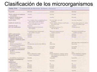 Clasificación de los microorganismos
 