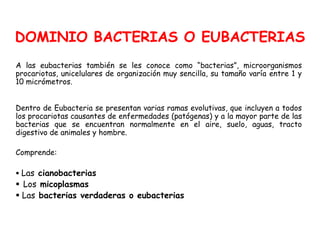 DOMINIO BACTERIAS O EUBACTERIAS
A las eubacterias también se les conoce como “bacterias”, microorganismos
procariotas, unicelulares de organización muy sencilla, su tamaño varía entre 1 y
10 micrómetros.


Dentro de Eubacteria se presentan varias ramas evolutivas, que incluyen a todos
los procariotas causantes de enfermedades (patógenas) y a la mayor parte de las
bacterias que se encuentran normalmente en el aire, suelo, aguas, tracto
digestivo de animales y hombre.

Comprende:

 Las cianobacterias
 Los micoplasmas
 Las bacterias verdaderas o eubacterias
 