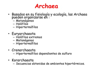 Archaea
• Basados en su fisiología y ecología, las Archaea
  pueden organizarse en :
   – Metanógenos
   – Halófilos
   – Hipertermófilos

• Euryarchaeota
   – Halófilos extremos
   – Metanógenos
   – Hipertermófilos

• Crenarchaeota
   – Hipertermófilos dependientes de sulfuro

• Korarchaeota
   – Secuencias obtenidas de ambientes hipertérmicos.
 