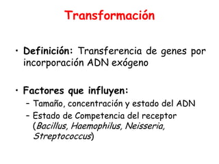 Transformación

• Definición: Transferencia de genes por
  incorporación ADN exógeno

• Factores que influyen:
  – Tamaño, concentración y estado del ADN
  – Estado de Competencia del receptor
    (Bacillus, Haemophilus, Neisseria,
    Streptococcus)
 