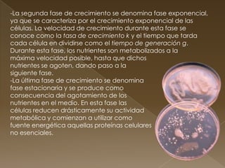 -La segunda fase de crecimiento se denomina fase exponencial,
ya que se caracteriza por el crecimiento exponencial de las
células. La velocidad de crecimiento durante esta fase se
conoce como la tasa de crecimiento k y el tiempo que tarda
cada célula en dividirse como el tiempo de generación g.
Durante esta fase, los nutrientes son metabolizados a la
máxima velocidad posible, hasta que dichos
nutrientes se agoten, dando paso a la
siguiente fase.
-La última fase de crecimiento se denomina
fase estacionaria y se produce como
consecuencia del agotamiento de los
nutrientes en el medio. En esta fase las
células reducen drásticamente su actividad
metabólica y comienzan a utilizar como
fuente energética aquellas proteínas celulares
no esenciales.
 