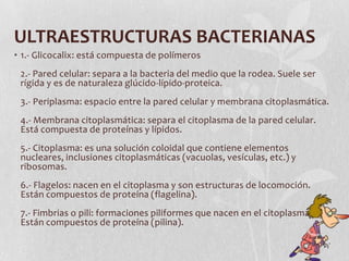 ULTRAESTRUCTURAS BACTERIANAS
• 1.- Glicocalix: está compuesta de polímeros
 2.- Pared celular: separa a la bacteria del medio que la rodea. Suele ser
 rígida y es de naturaleza glúcido-lípido-proteica.
 3.- Periplasma: espacio entre la pared celular y membrana citoplasmática.
 4.- Membrana citoplasmática: separa el citoplasma de la pared celular.
 Está compuesta de proteínas y lípidos.
 5.- Citoplasma: es una solución coloidal que contiene elementos
 nucleares, inclusiones citoplasmáticas (vacuolas, vesículas, etc.) y
 ribosomas.
 6.- Flagelos: nacen en el citoplasma y son estructuras de locomoción.
 Están compuestos de proteína (flagelina).
 7.- Fimbrias o pili: formaciones piliformes que nacen en el citoplasma.
 Están compuestos de proteína (pilina).
 