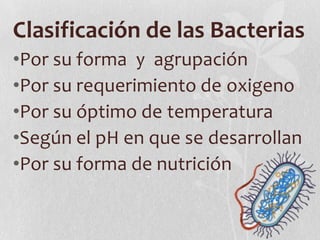 Clasificación de las Bacterias
•Por su forma y agrupación
•Por su requerimiento de oxigeno
•Por su óptimo de temperatura
•Según el pH en que se desarrollan
•Por su forma de nutrición
 