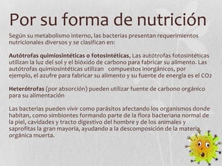 Por su forma de nutrición
Según su metabolismo interno, las bacterias presentan requerimientos
nutricionales diversos y se clasifican en:

Autótrofas quimiosintéticas o fotosintéticas, Las autótrofas fotosintéticas
utilizan la luz del sol y el bióxido de carbono para fabricar su alimento. Las
autótrofas quimiosintéticas utilizan compuestos inorgánicos, por
ejemplo, el azufre para fabricar su alimento y su fuente de energía es el CO2

Heterótrofas (por absorción) pueden utilizar fuente de carbono orgánico
para su alimentación

Las bacterias pueden vivir como parásitos afectando los organismos donde
habitan, como simbiontes formando parte de la flora bacteriana normal de
la piel, cavidades y tracto digestivo del hombre y de los animales y
saprofitas la gran mayoría, ayudando a la descomposición de la materia
orgánica muerta.
 