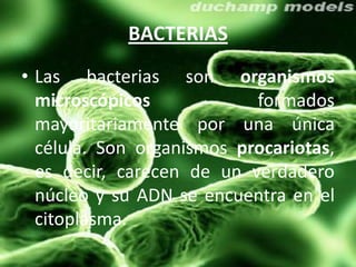BACTERIAS
• Las bacterias son organismos
  microscópicos            formados
  mayoritariamente por una única
  célula. So...