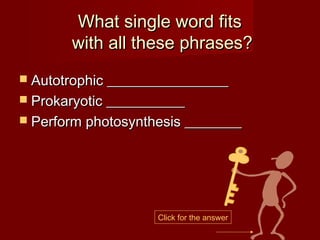 What single word fits
       with all these phrases?
 Autotrophic _________________
 Prokaryotic ___________
 Perform photosynthesis ________




                    Click for the answer
 